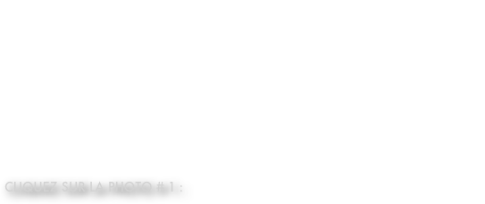 Utilisations : indispensable, il sert à l'assurage du premier et du second ou de frein pour le rappel.
Avantages : il est simple et efficace, il peut se réaliser d'une main.
Inconvénients : il vrille la corde et chauffe le mousqueton.
Conseils : utilisez un mousqueton à vis en forme de poire ou ovale pour son bon fonctionnement. Utilisez une corde d’un diamètre supérieur ou égal à 8 mm.

Cliquez sur la photo # 1 :